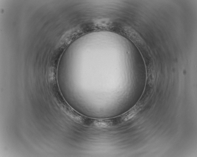 X0000060760706200511241729
