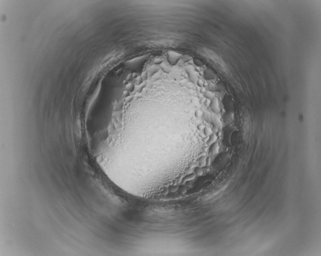 X0000060760729200511241728
