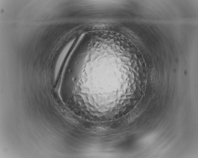 X0000060760737200511241728