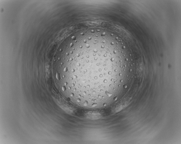 X0000060760749200511241728