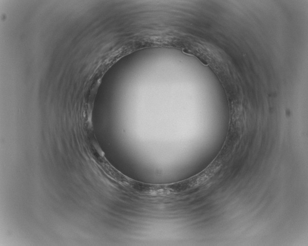 X0000060760752200511241728