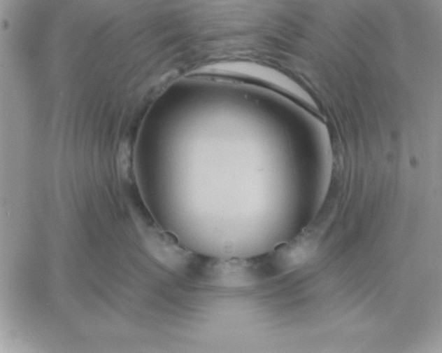X0000060760767200511241728