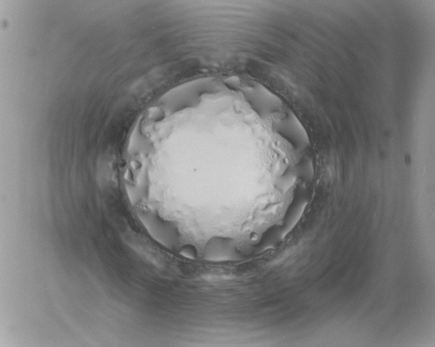 X0000060760770200511241727