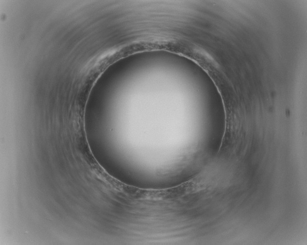 X0000060760773200511241727