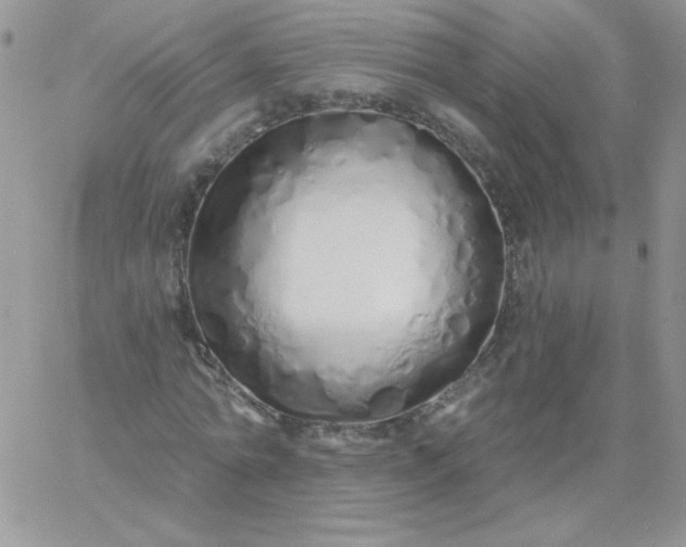 X0000060760774200511241727