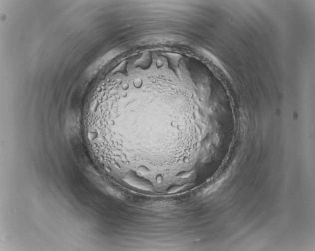 X0000060760778200511241727