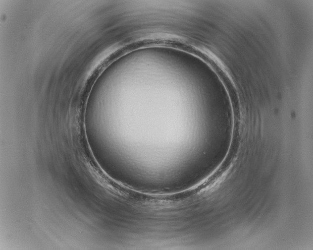 X0000060760783200511241727