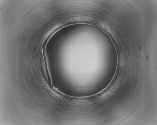 X0000060760786200511241727