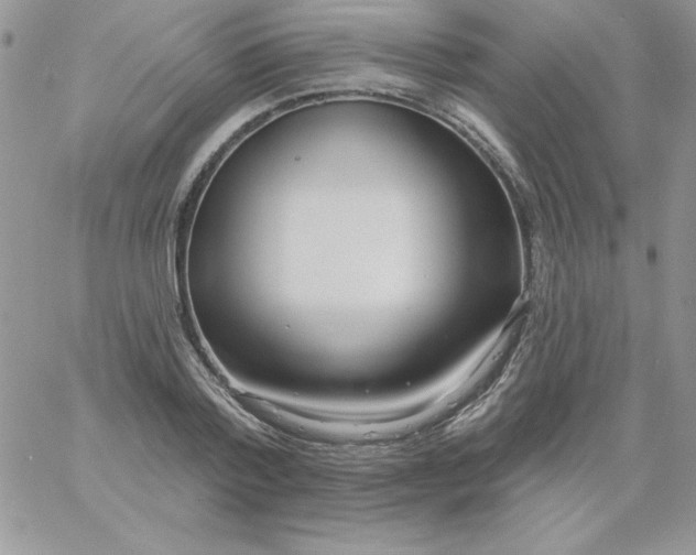 X0000060760788200511241727