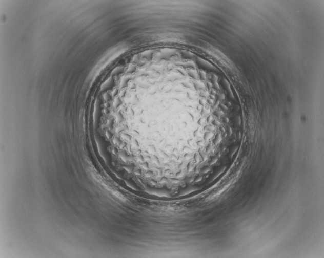 X0000060760790200511241727
