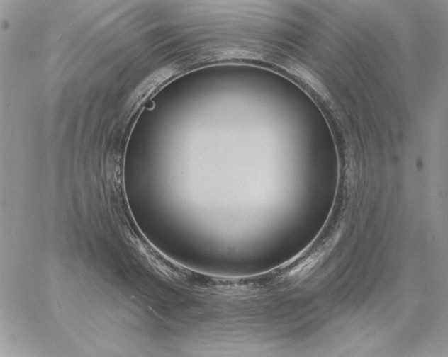 X0000060760793200511241727
