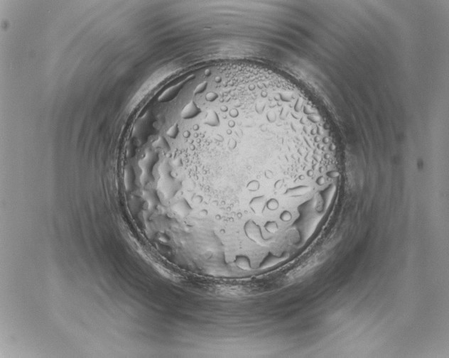 X0000060760794200511241727