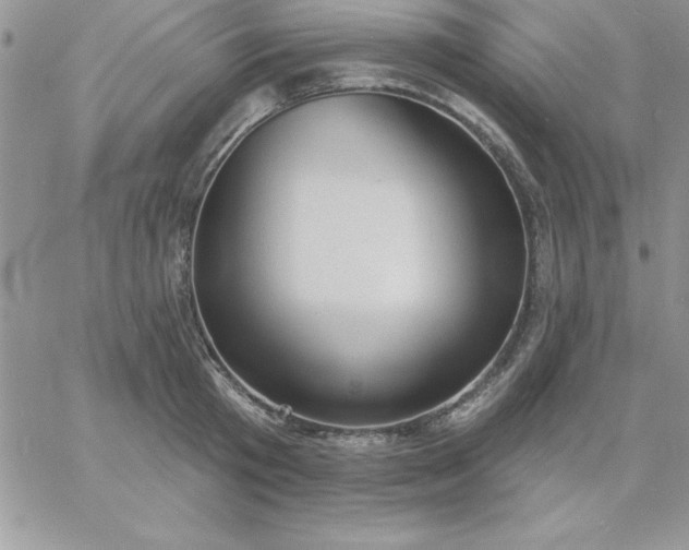 X0000060760801200511241727