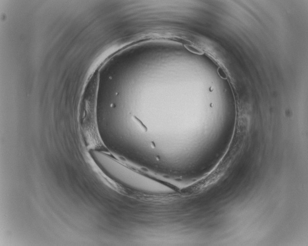 X0000060760803200511241727