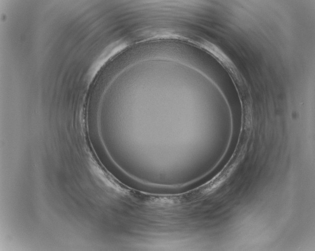 X0000060760806200511241727