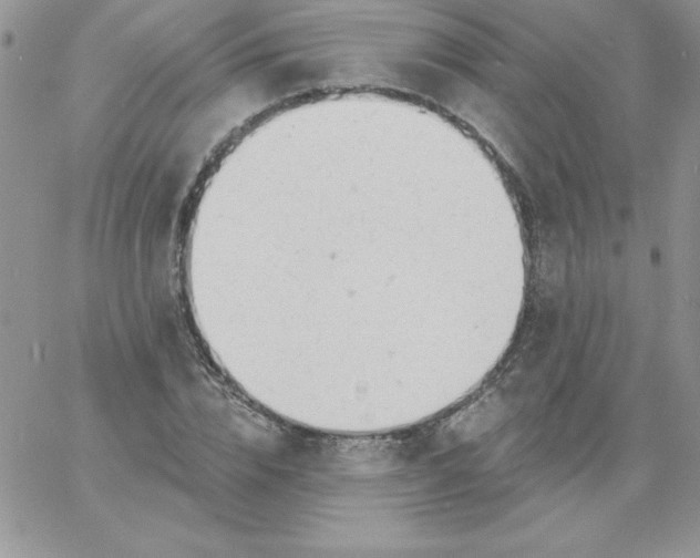 X0000060760832200511241726