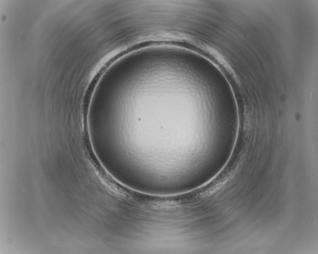 X0000060760837200511241726