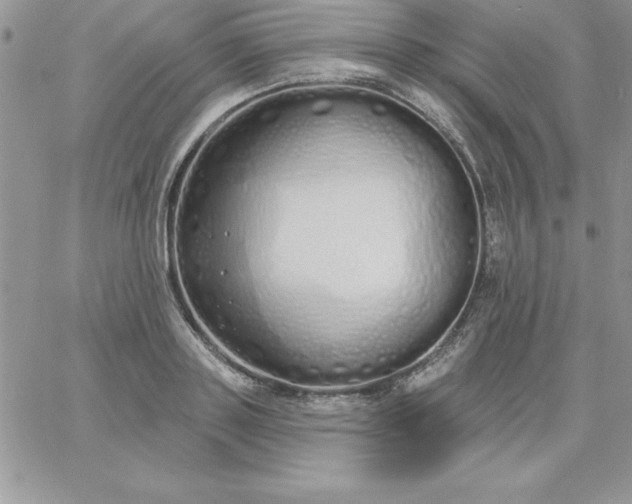 X0000060760843200511241726