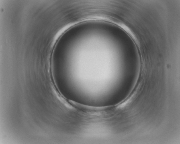X0000060760862200511241727