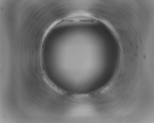 X0000060760864200511241727