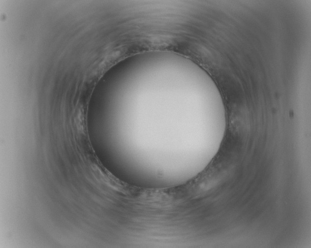 X0000060760866200511241726