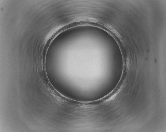 X0000060760877200511241726