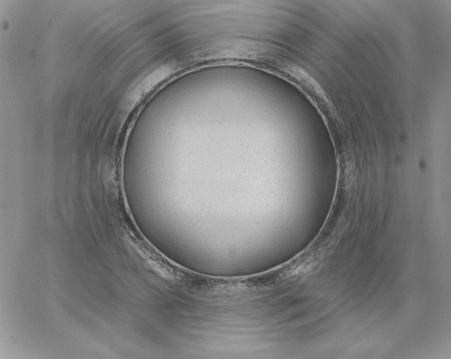 X0000060760882200511241726