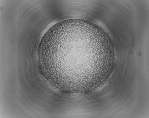 X0000060760883200511241726