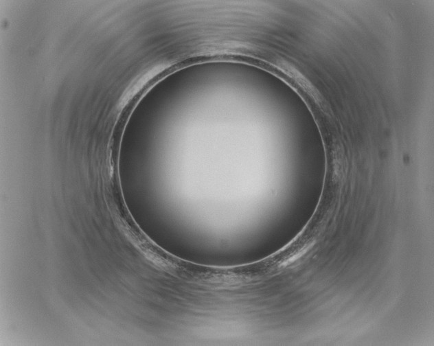X0000060760885200511241726