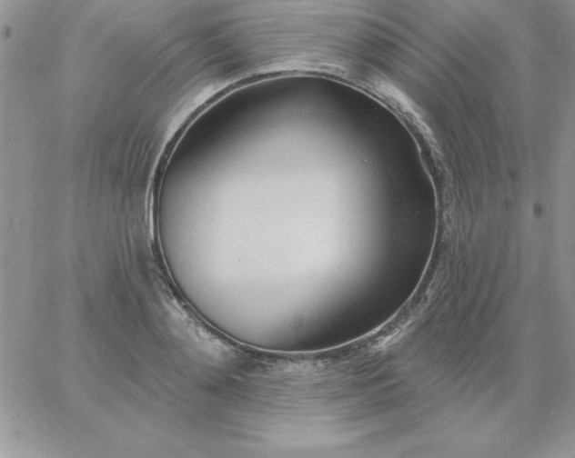 X0000060760892200511241725