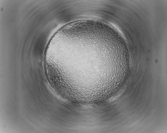 X0000060760899200511241725