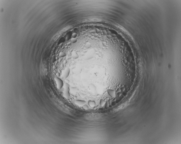 X0000060760929200511241725