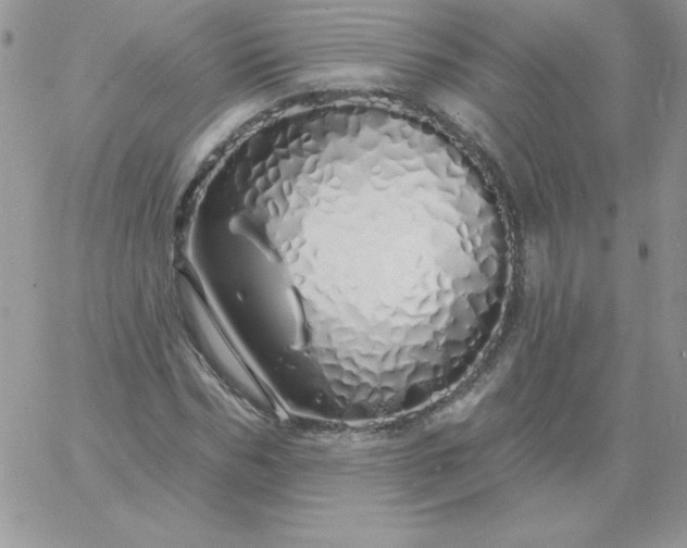 X0000060760970200511241724