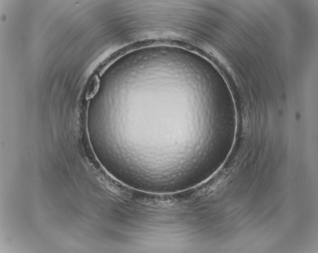 X0000060760975200511241724