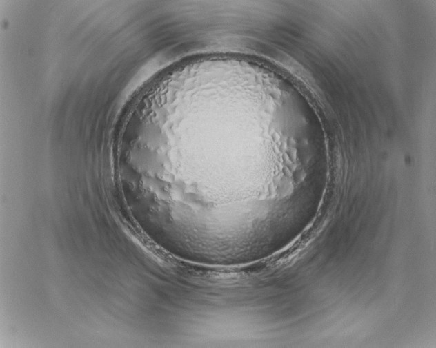 X0000060760982200511241724