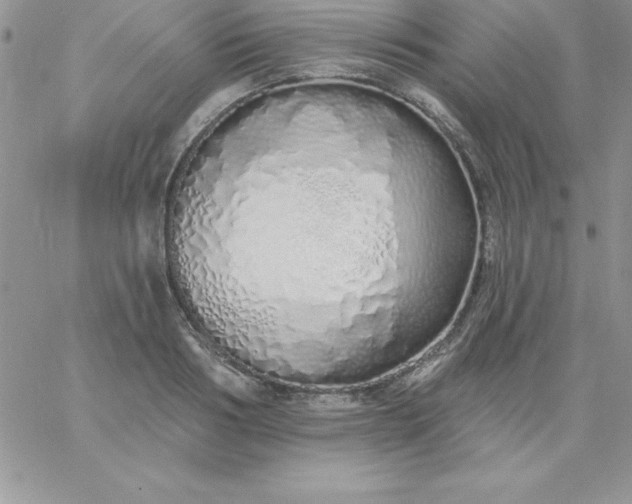 X0000060760986200511241724