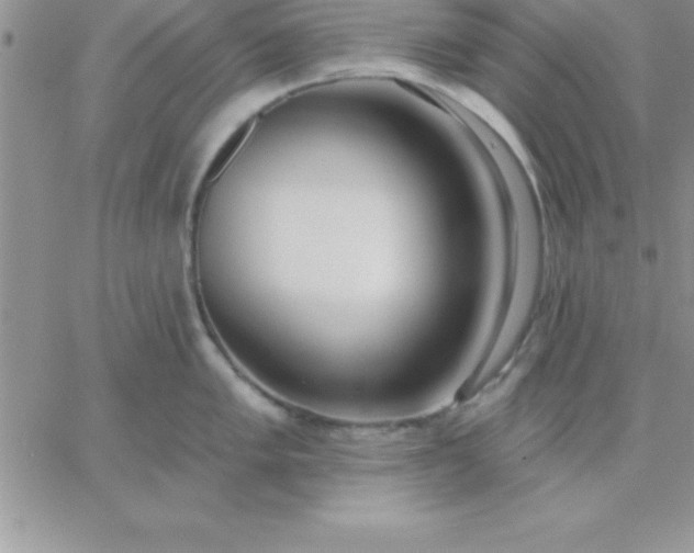 X0000060761005200511241724