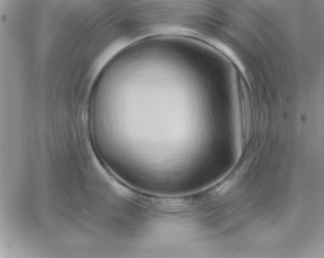 X0000060761007200511241724