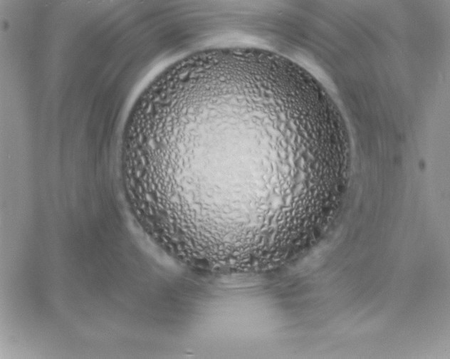 X0000060761008200511241724