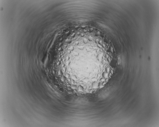 X0000060761011200511241723