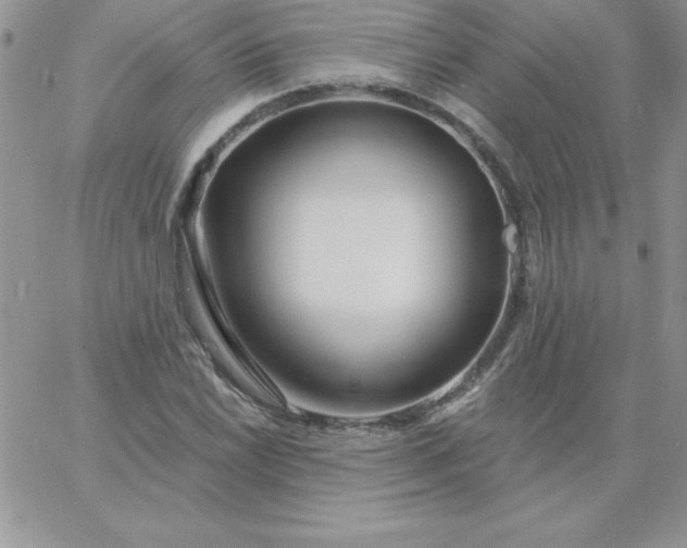 X0000060761022200511241723