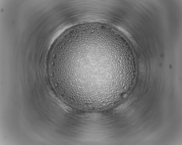 X0000060761023200511241723