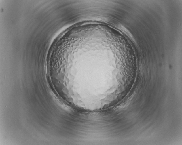 X0000060761028200511241723