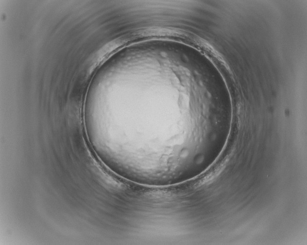 X0000060761033200511241723