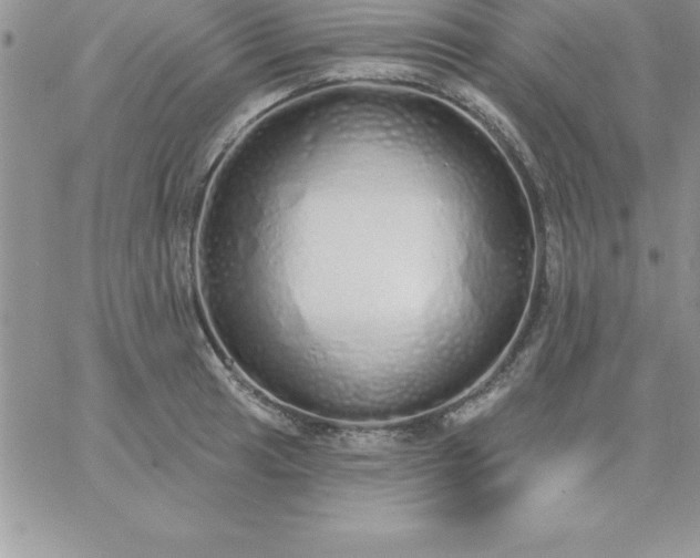 X0000060761041200511241723