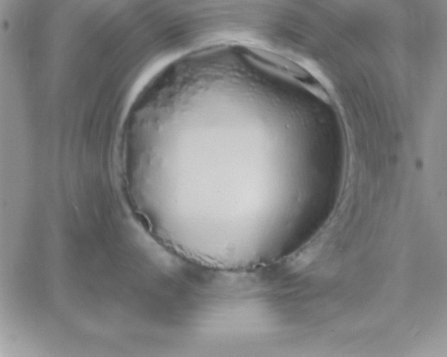 X0000060761056200511241724