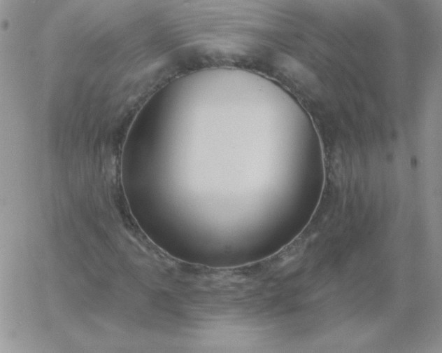 X0000060761061200511241723