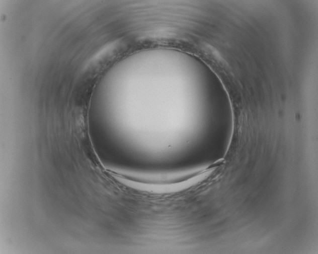X0000060761062200511241723
