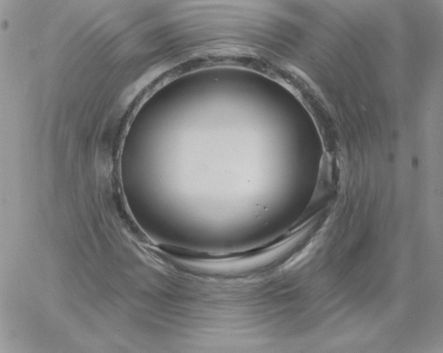 X0000060761065200511241723