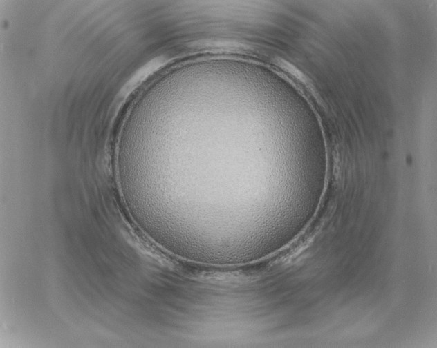 X0000060761074200511241722